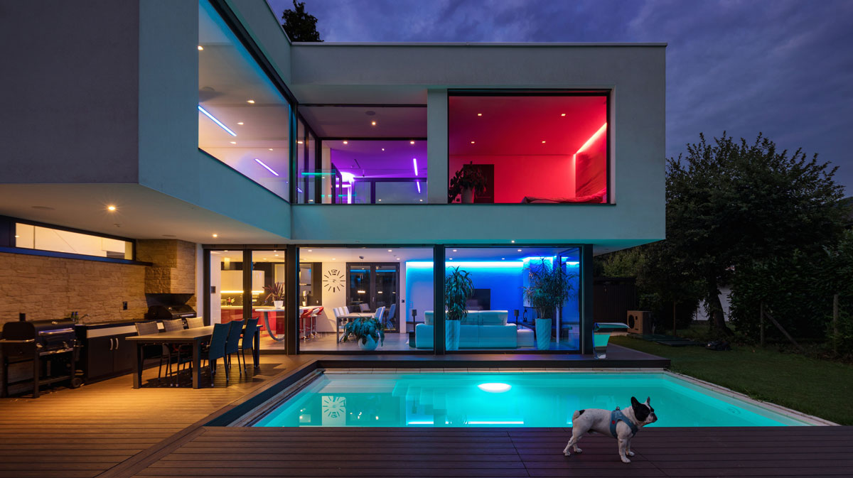 A dog standing in front of a pool at night.